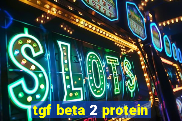 tgf beta 2 protein